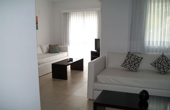 Avutarda de Carilo - Photo 37