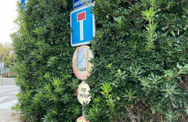 Les deux mas - Foto 53