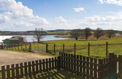 Silver Dee - Foto 10