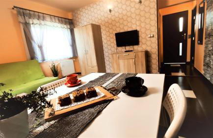 Apartamenty Pilsko Korbielów komfortowe mieszkania dla rodzin i narciarzy w Beskidach - Foto 71