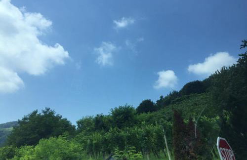 Studio Apartmani BISER 1, 2, 3 Deluxe - Foto 51