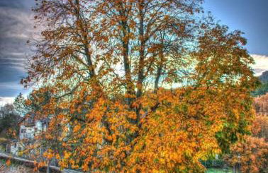 Casa El Parral 2 dormitorios a 30 min de Astun y Candanchu - Foto 14