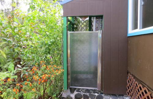 Ixchel Hawaii Volcano - Foto 9