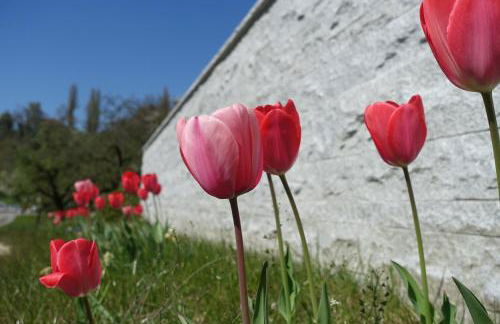 Ferienwohnung Süßenmühle Naturstrand - Foto 15