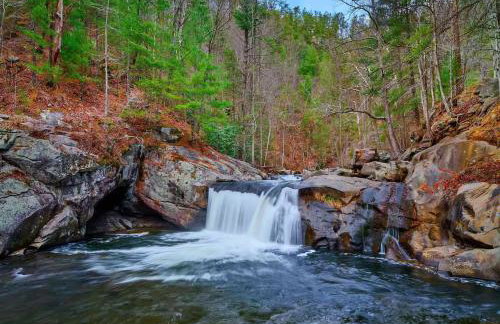 Tellico Nature Cabin - Close to Skyway & Rivers - Foto 9