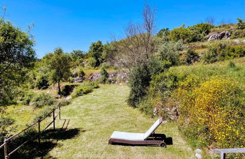 Quinta Vida Verde - Foto 13