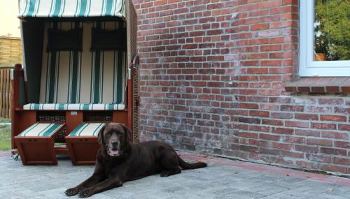 ostfriesisches Ferienhaus Anno 1899 - Foto 3