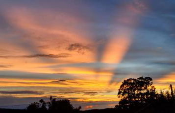 Ferienwohnung Sonnenhof - Foto 58