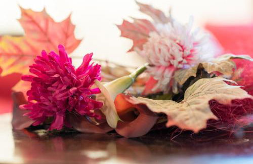 Il Leccio - Casa Toscana San Gimignano - Foto 21