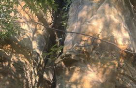 Bosco Bluff Cottage - Foto 13