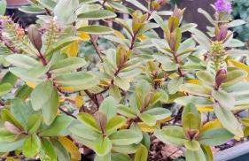 Baita La Stradella - Foto 61