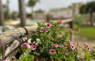 Villa Giò Sicily Holidays - Foto 22