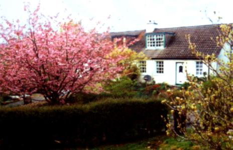 Argyllholidaycottage Loch Awe - Foto 6