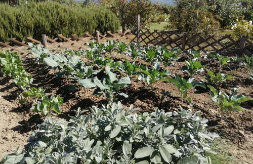 Il Fienile di Assisi - Photo 124