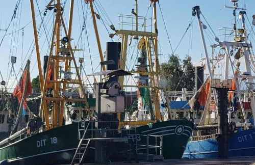 Johannes Hof - Foto 33