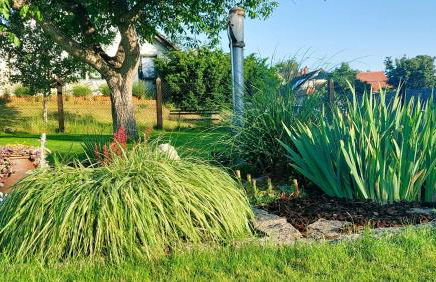 Ferienwohnung MaRi - Foto 10