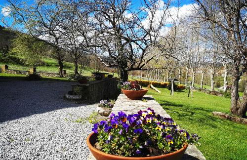 Finca Artienza - Foto 46