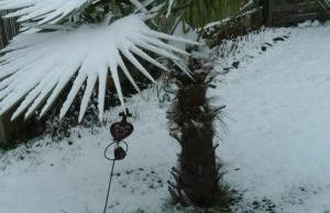 Framboisine - Foto 34