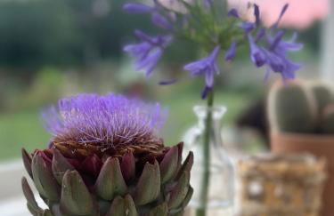 Villa Monteleone - Foto 50