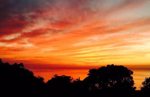 Taburiente - Foto 35