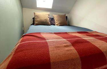 Appartement entier 3 chambres hyper centre - Foto 16