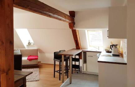 Apartment Pegnitzmühle mit Pegnitzinsel - Foto 19