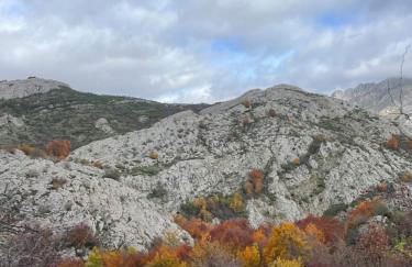 Casa Rural MONTE ROBLO - Foto 67