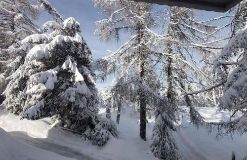 Trento, Monte Bondone, casa tipica di montagna - Foto 11