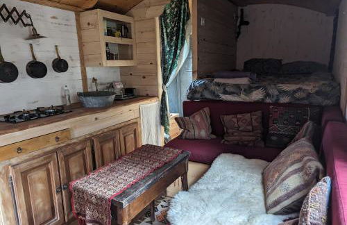 roulotte à la mauvaise herbe - Foto 12