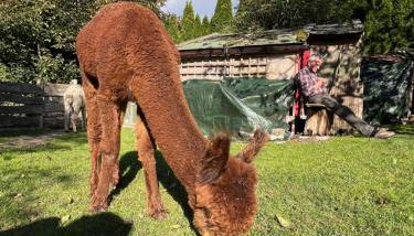 Rottal-AlpakaLodge Zeit zu Zweit im Grünen - Foto 5, Garden view