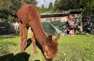 Rottal-AlpakaLodge Zeit zu Zweit im Grünen - Foto 5