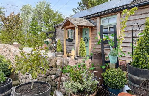 Little Pines Lodge - Foto 31