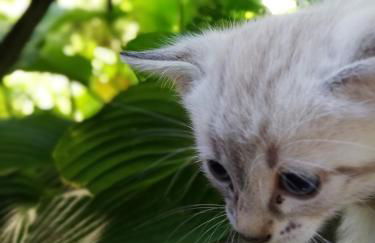 Ansitz Grustdorf - Foto 65