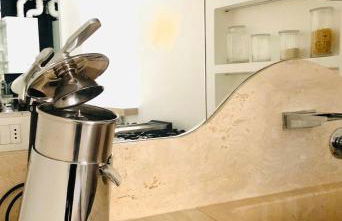 Oro Blanco - Foto 13