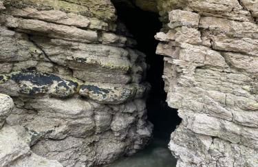 Newton house - Foto 48