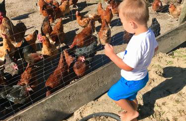 Agroturystyka nad jeziorem Silickim Ilińscy - Foto 7