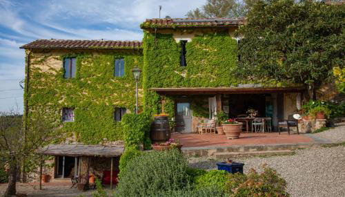 Agriturismo & Winery Il Bacio - Foto 2, Garden view