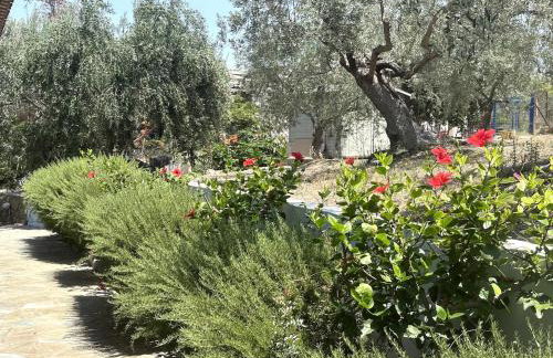 Villa dell'Olio - Foto 41