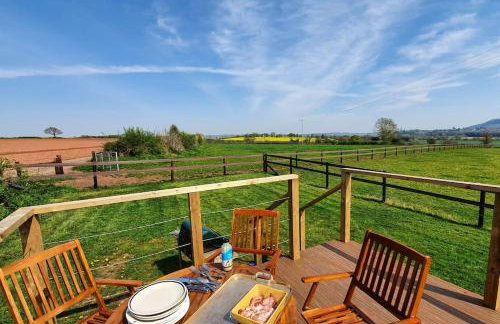 Bertha's Box - Foto 15