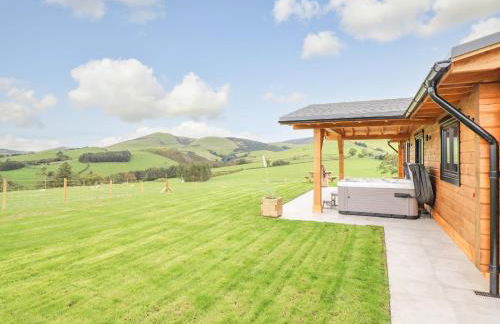 Bacheiddon Log Cabin - Photo 23