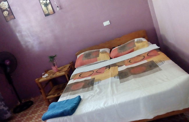 Banaba Tree House - Photo 2