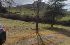 La casa de la parcela - Photo 22