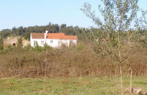 Casa de Alagoa - Foto 27