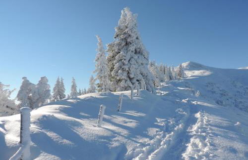 Ferienwohnung Socher "Am Wold" - Photo 23