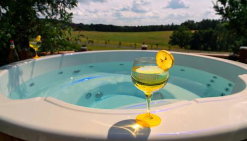 Chalet Bamboo-Garden am Hengstberg bei Dresden - Photo 4