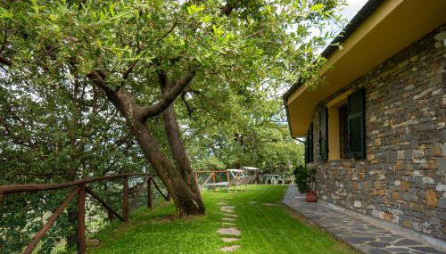 HOST4U - BORGATA VALLONE Apartments with Stunning Garden and Parking - Foto 3, Garden, Garden view