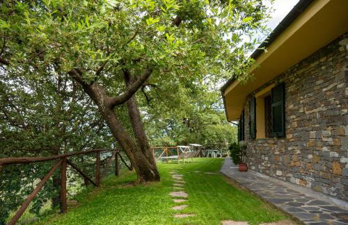 HOST4U - BORGATA VALLONE Apartments with Stunning Garden and Parking - Foto 3