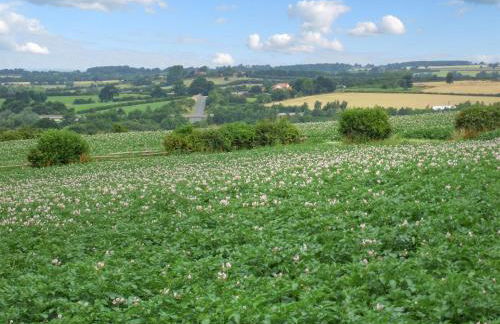 The Granary - Uk47480 - Photo 20