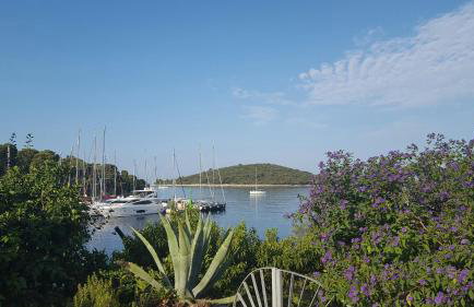 Apartmani Mariela - Photo 38