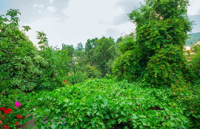 Kyveli Cottage - Foto 36